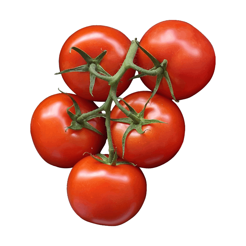 FLE Unbranded Tomato Kg
