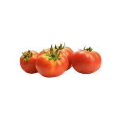 FLE Packed x4 Tomato Kg