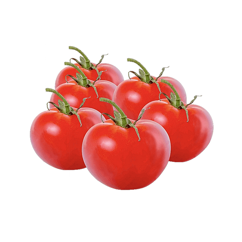 FLE Packed x6 Tomato Kg