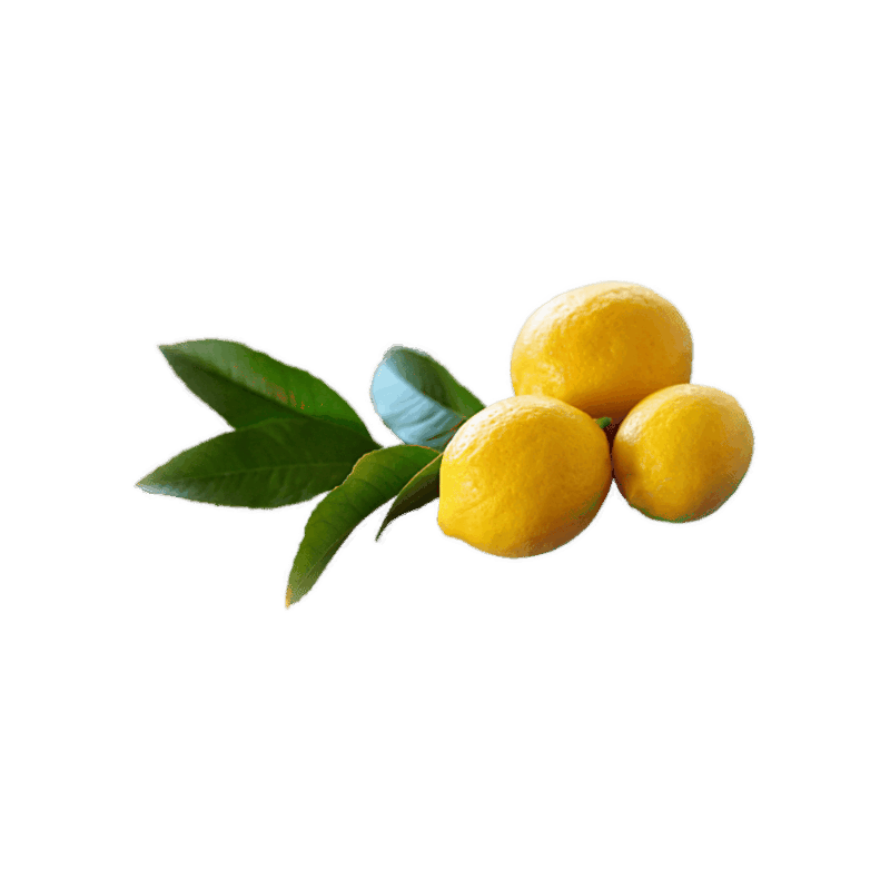 FLE Unbranded Lemon Yellow ref 162 - Kg
