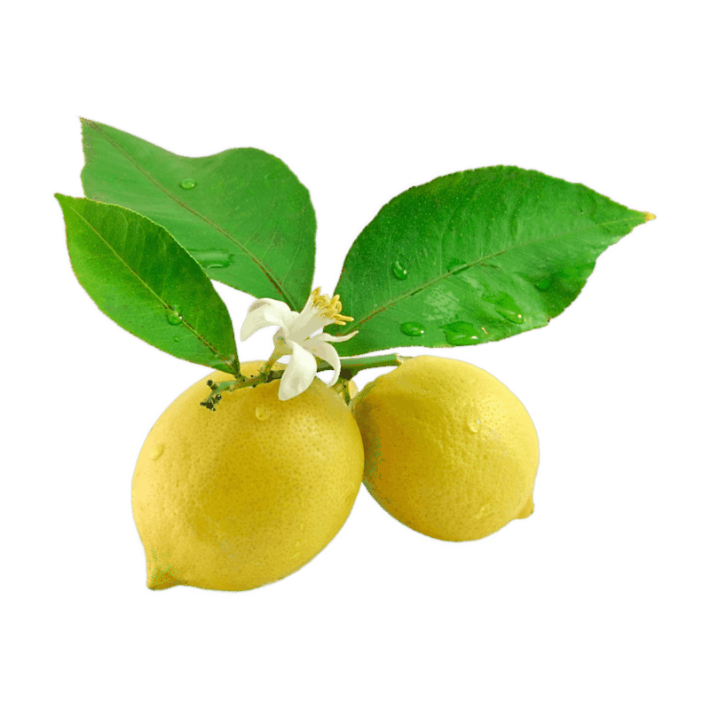 FLE Unbranded Lemon Yellow ref 189 - Kg