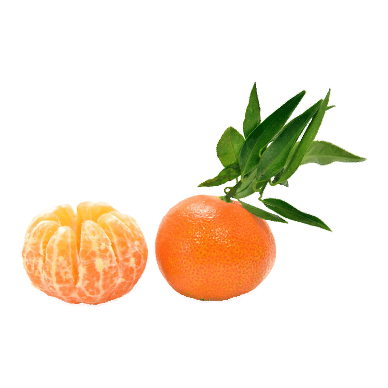 FLE Unbranded Mandarine Seedless 1X Size Kg