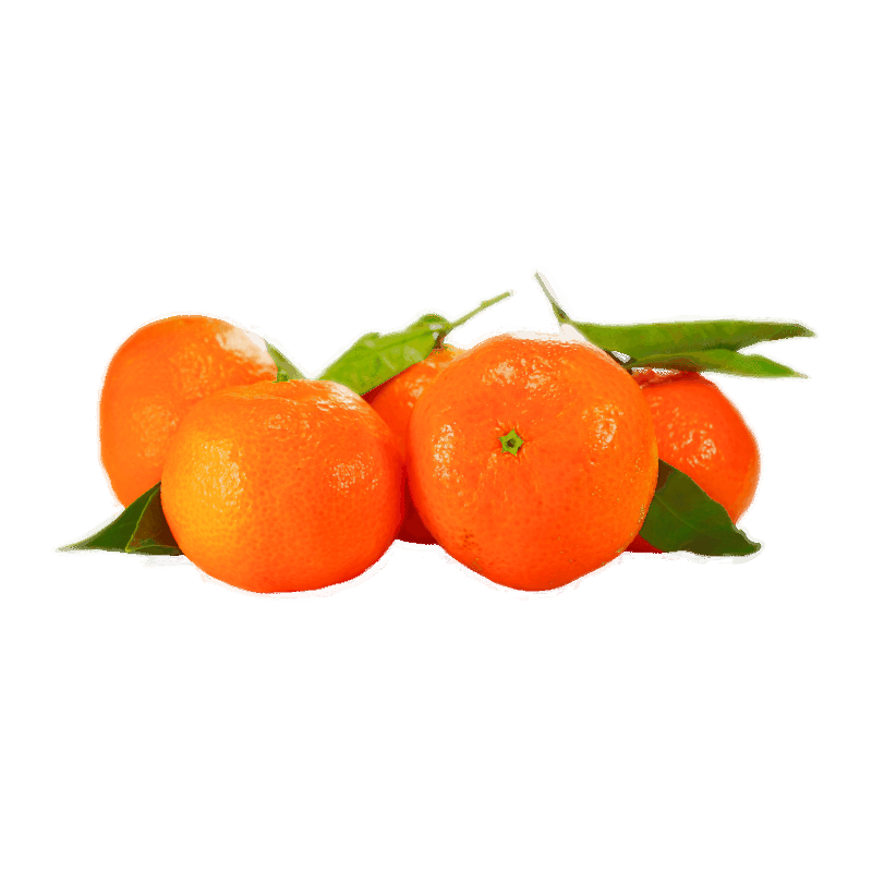 FLE Unbranded Mandarine Seedless 2X Size Kg