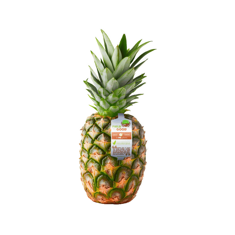 FLE Packed x1 Pineapple >450g