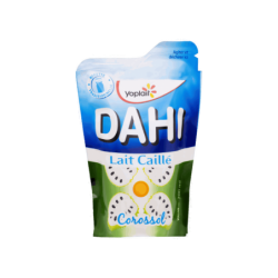 YPL Dahi Corossol 200ml