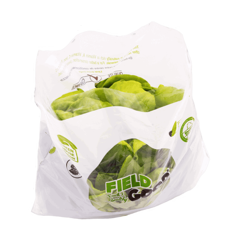 FLE Packed x1 Iceberg Lettuce 530g