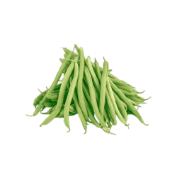 FLE Packed Green Beans Kg