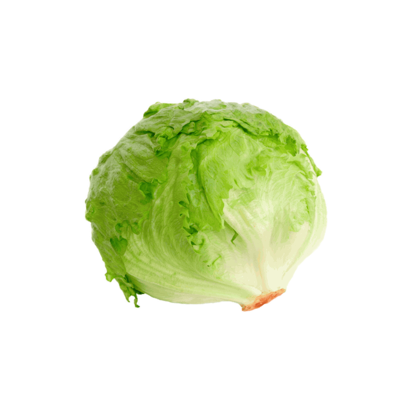 BON Bulk Iceberg Kg