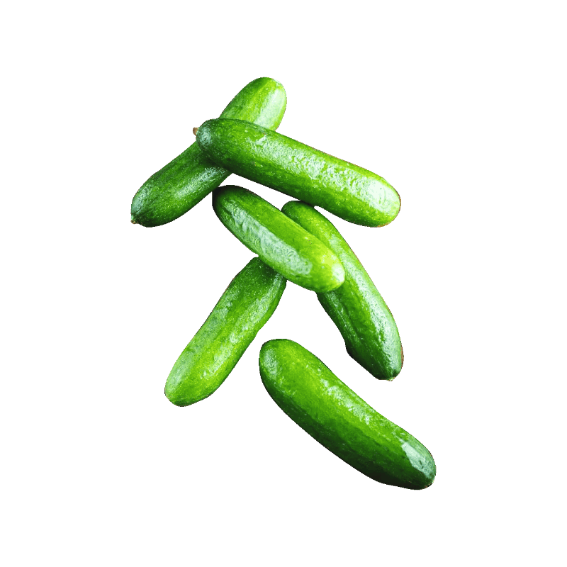 FLE Packed Snack Cucumber 400g